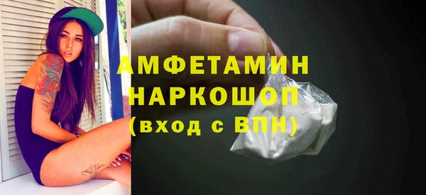 дмт Болотное