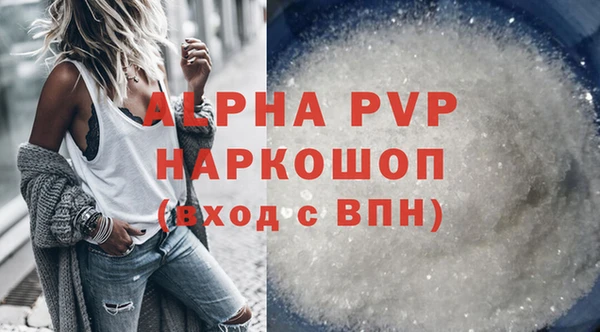 гашик Елизово