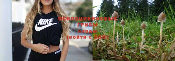 спайс Лагань