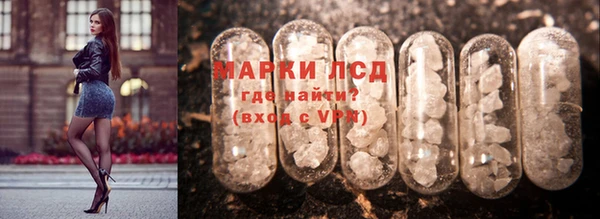гашик Ветлуга